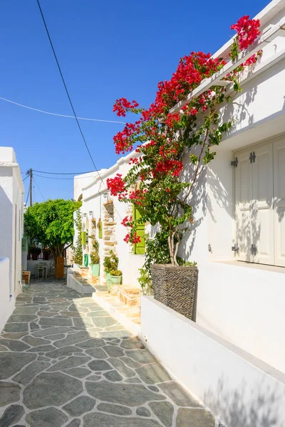 希腊Folegandros Folegandros Greece 2020年9月23日 希腊一条狭窄的街道 在Folegandros岛上的Chora点缀着花 Cyclades — 图库照片