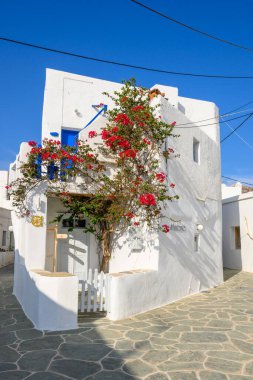 Folegandros Adası, Cyclades Adaları 'ndaki güzel Chora kasabasında beyazlatılmış kiklad caddesi, Yunanistan