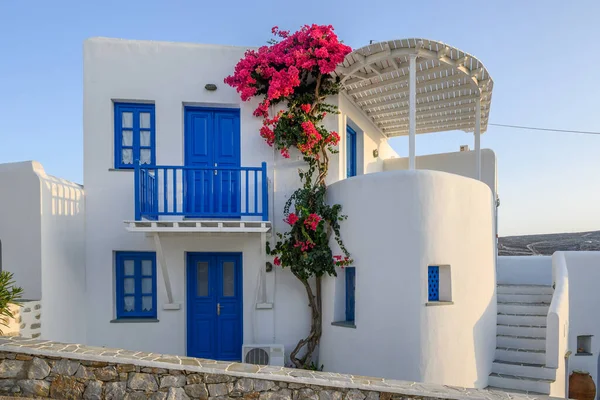 Tipik Kiklad mimarisi, Folegandros Adası 'nda mavi pencereli ve yaz çiçekli Yunan beyazı yıkanmış evi. Yunanistan