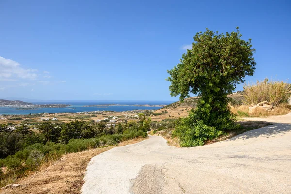 Wyspa Paros Popularna Miejscowość Turystyczna Morzu Egejskim Wyspy Cyklady Grecja — Zdjęcie stockowe