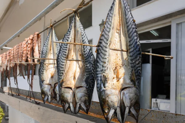 Torkar Fisk Och Bläckfisk Gatan Byn Aliki Paros Island Kykladerna — Stockfoto