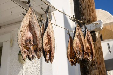 Drying fish on the street in Aliki village. Paros Island, Cyclades, Greece