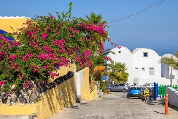 Florecientes Flores Buganvillas Calle Pueblo Imerovigli Isla Santorini Cícladas Grecia — Foto de Stock