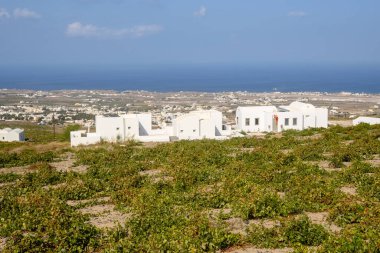 Yunanistan 'ın Santorini Adası' ndaki tipik Yunan tatil villaları