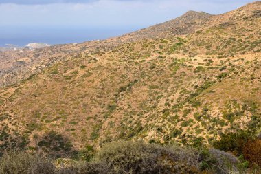Popüler plajı ile Ios ve Mylopotas Körfezi 'nin batı kıyısında. Cyclades, Yunanistan