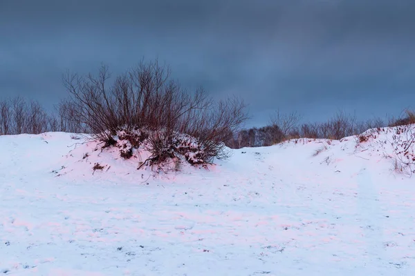 Gün Batımında Karla Kaplı Kumullar Hel Yarımadası Kıyısında Jastarnia Kış — Stok fotoğraf
