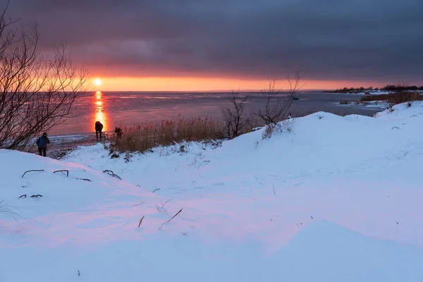 Jastarnia Pologne Janvier 2021 Dunes Enneigées Coucher Soleil Paysage Hivernal — Photo