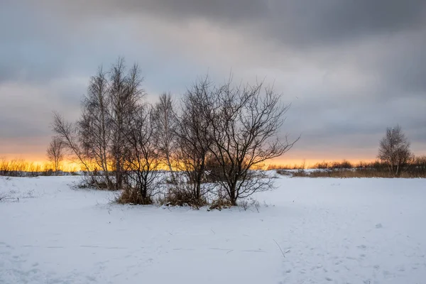 Winterlandschaft Küstenort Jastarnia Auf Der Halbinsel Hel Polen — Stockfoto