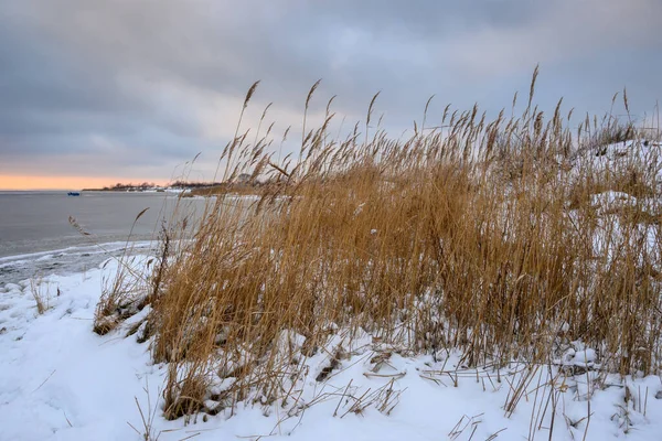 Dunas Nevadas Paisaje Invernal Playa Jastarnia Península Hel Mar Báltico — Foto de Stock