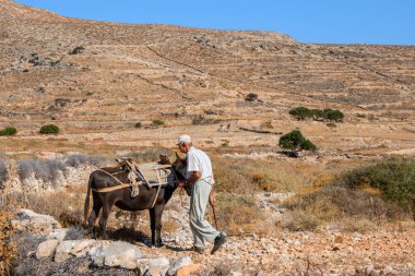 Folegandros, Yunanistan - 25 Eylül 2020: Yunan adam ve katırı Folegandros adasında yaz otlaklarında. Cyclades, Yunanistan