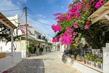Antiparos, Yunanistan - 28 Eylül 2020: Yunanistan caddesi Antiparos Adası 'nda bougainvillea çiçekleriyle süslendi. Kiklad