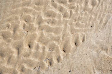 Kum plajı dokusu. Doğal arka plan. Kum dalgaları arka planı. Kumullar, tropikal deniz manzarası..
