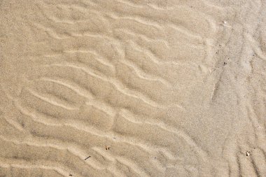 Kum plajı dokusu. Doğal arka plan. Kum dalgaları arka planı. Kumullar, tropikal deniz manzarası..