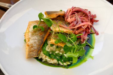 Sebze ve ıspanak soslu kızarmış alabalık parçaları.