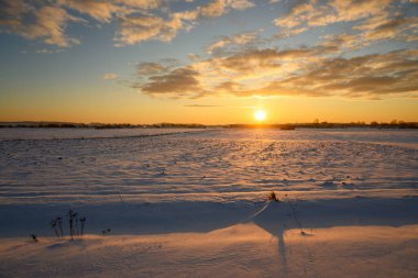 Karla kaplı tarla. Kuzey Polonya 'da kış manzarası. Avrupa