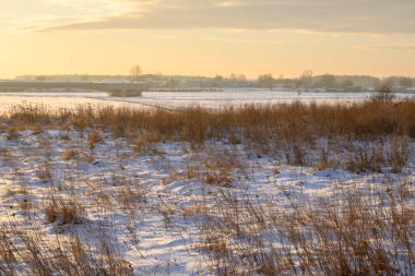 Karla kaplı tarla. Kuzey Polonya 'da kış manzarası. Avrupa