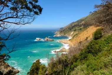 Büyük Sur 'daki Pasifik kıyısı, ABD' nin Kaliforniya eyaletinde çarpıcı bir kıyı bölgesi.