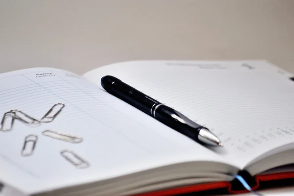 日記は、ペンと紙クリップです。 — ストック写真