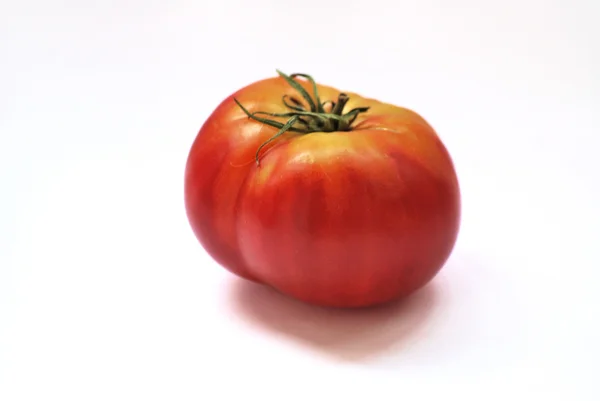Zralá rajčata je na bílém stole Royalty Free Stock Obrázky