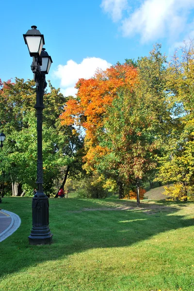 Bunte gelbe Herbstbäume im Park — Stockfoto