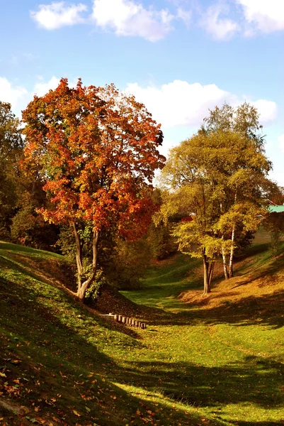 Bunte Herbstbäume im Park — Stockfoto