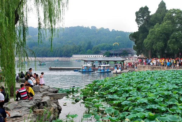 Park with a lake with pond lilies in Beijing — Stock Photo, Image