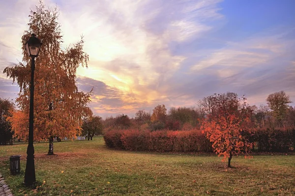 Dia ensolarado claro no parque de outono — Fotografia de Stock