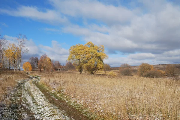 Bright trees in autumn field near Moscow — Stock Photo, Image