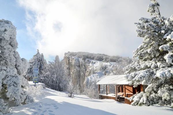 Coberto com gelo e neve café de verão no topo da montanha Ai-Petri em um dia gelado de inverno — Fotografia de Stock