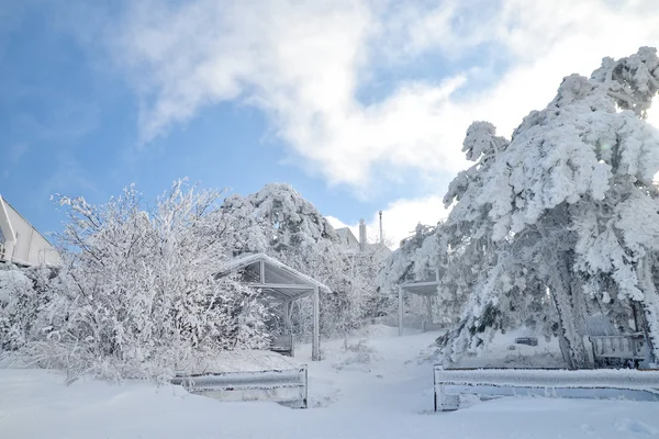 Pokrytý ledem a sněhem letní kavárna na vrcholu hory Ai-Petri na mrazivé zimní den — Stock fotografie