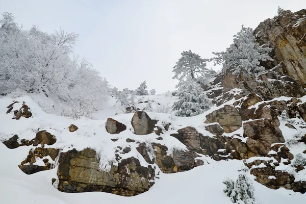 Eisige Bäume, die in die Felsen auf dem Berg ai-Petri auf der Krim gewachsen sind — Stockfoto