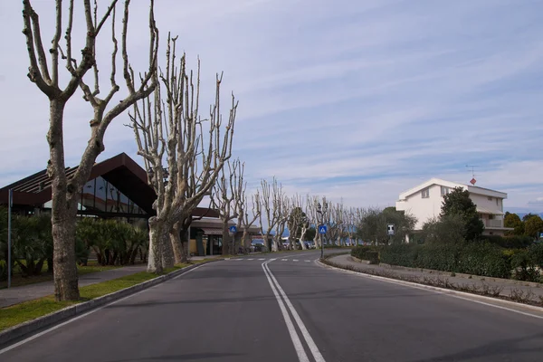 Alberi senza foglie sulle rive del Lago di Garda a Sirmione — Foto Stock