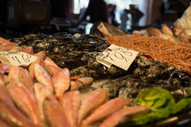 Rialto Venedik pazarında deniz ürünleri satışı