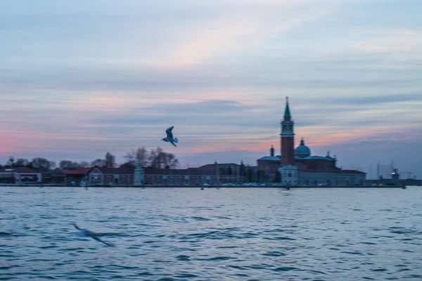 Seagull flies on a background of an ancient fortress at sunset — Stock Photo, Image