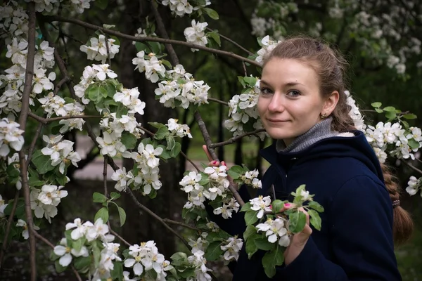 The girl among white flowers in apple orchard — Stock Photo, Image
