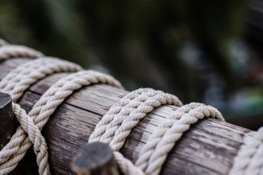 Eğlence Parkı konumda Cadılar Bayramı için dekore edilmiş