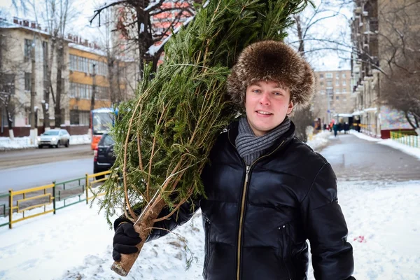 Um menino carrega para casa uma árvore de Natal na véspera de ano novo Imagem De Stock