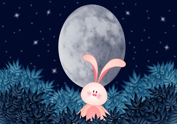 Lapin avec lune ovale dans la nuit — Photo