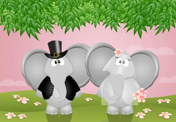 Funny elephants married — Stock Photo, Image