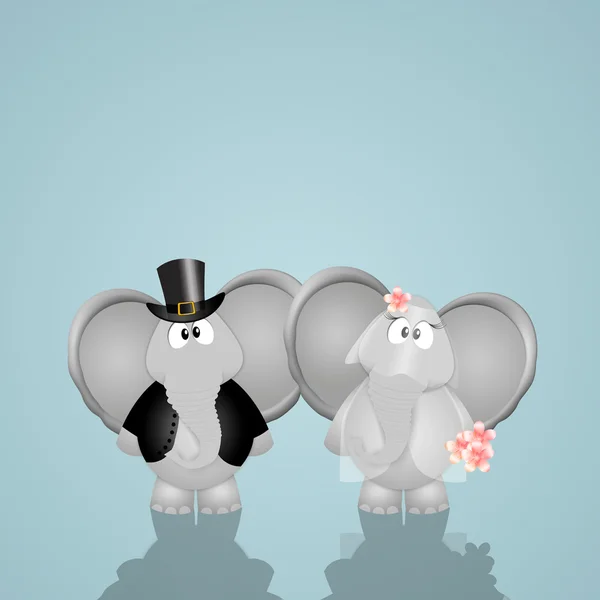 Elefantes engraçados casados — Fotografia de Stock