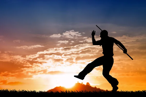 Martial art silhouette at sunset — Stock Photo, Image