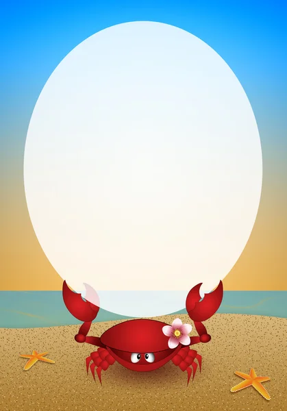 Funny crab on the beach — Stock Photo, Image