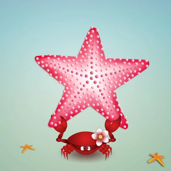 Krab s hvězdicemi — Stock fotografie