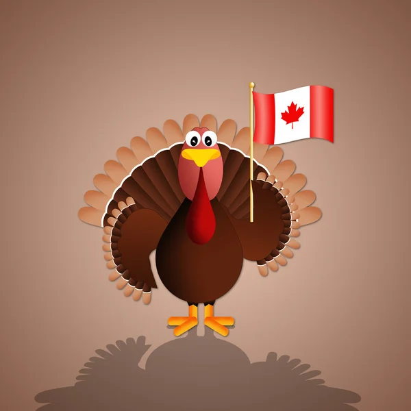 Turkey With canadian flag — Stock Photo, Image