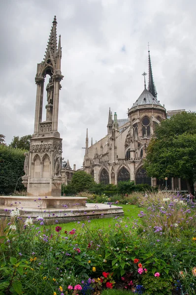 A párizsi Notre Dame-katedrális látképe — Stock Fotó