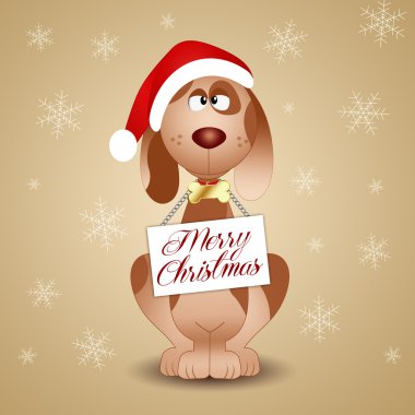 Noel Baba'nın şapka ile komik köpek