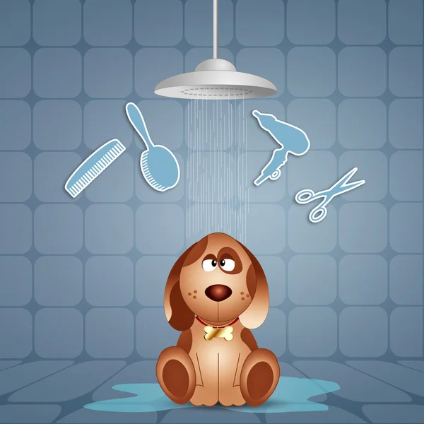 Funny doggy under the shower — Stock Photo, Image