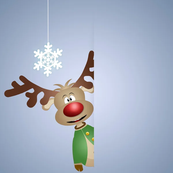 Funny reindeer for Christmas — Stock Photo, Image