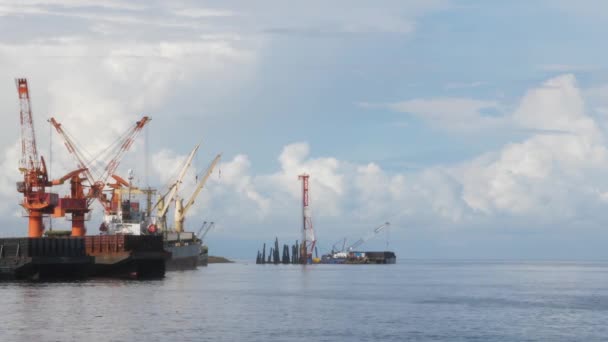 Grue sur la côte est occupé à travailler — Video