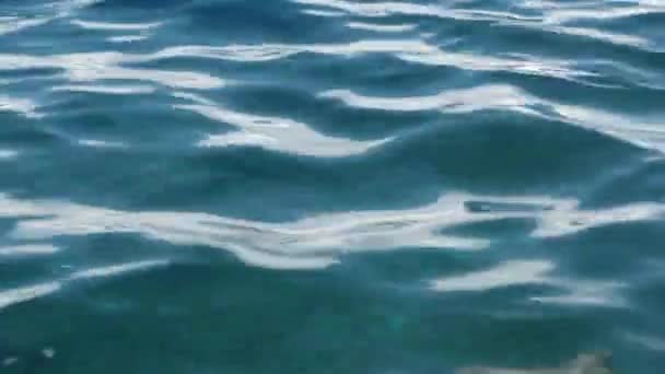 Apró hullámok a nyugodt tengeren. A tenger felszíne nagyon sima. Kék tiszta vízfelület. — Stock videók
